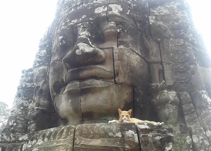 Pleasure Siem Reap